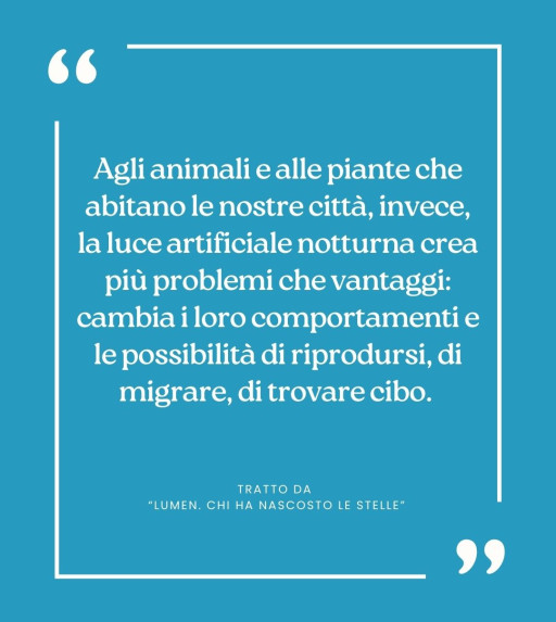 Citazione da..."LUMEN. Chi ha nascosto le stelle?"