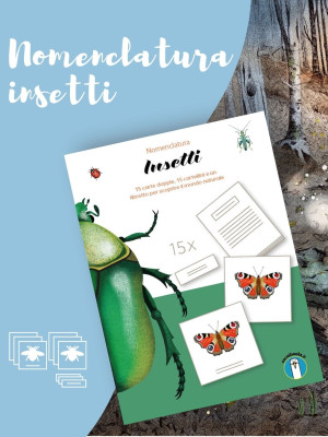 Copertina evento  I nostri prodotti: nomenclatura insetti.
