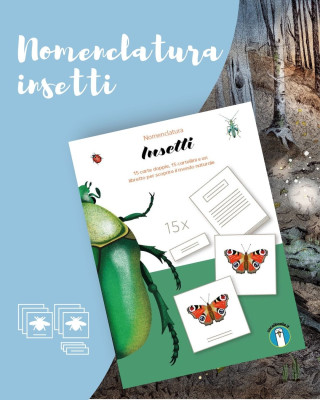 Copertina evento  I nostri prodotti: nomenclatura insetti.