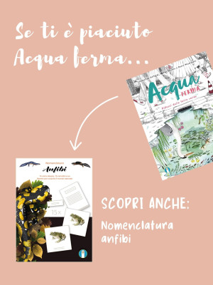 Copertina evento  Se ti è piaciuto "Acqua ferma"... scopri la nostra nomenclatura sugli anfibi!