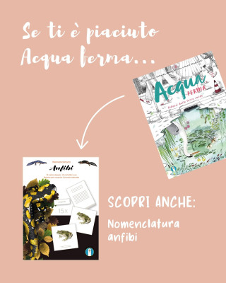 Copertina evento  Se ti è piaciuto "Acqua ferma"... scopri la nostra nomenclatura sugli anfibi!
