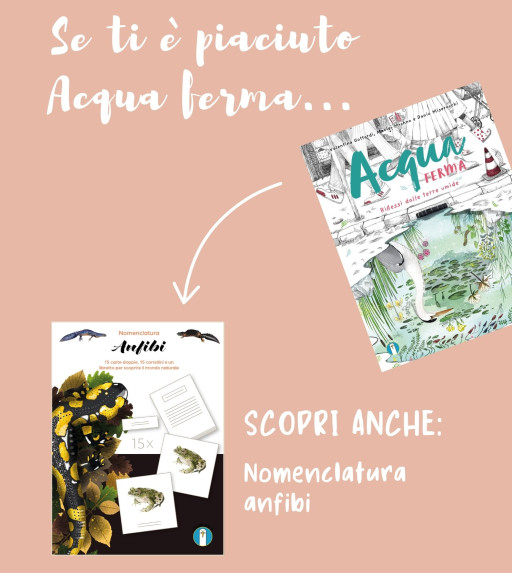Se ti è piaciuto "Acqua ferma"... scopri la nostra nomenclatura sugli anfibi!