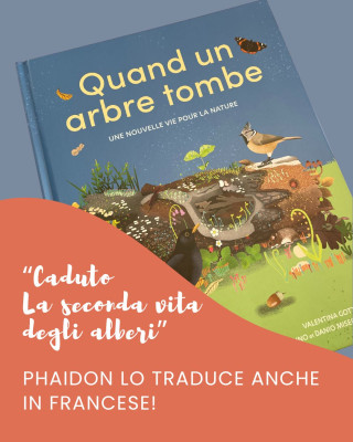 Copertina evento  "Caduto. La seconda vita degli alberi". Phaidon lo traduce anche in francese!