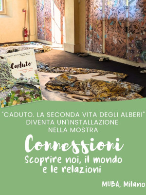 Copertina evento  Le seconde vite di "Caduto. La seconda vita degli alberi”…