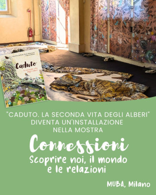 Copertina evento  Le seconde vite di "Caduto. La seconda vita degli alberi”…
