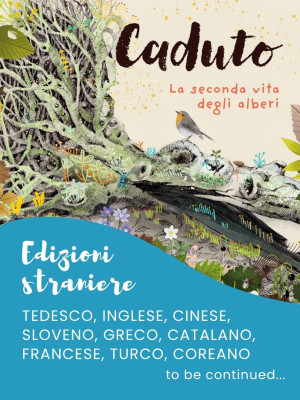 Copertina evento  Le edizioni straniere di "Caduto. La seconda vita degli alberi"