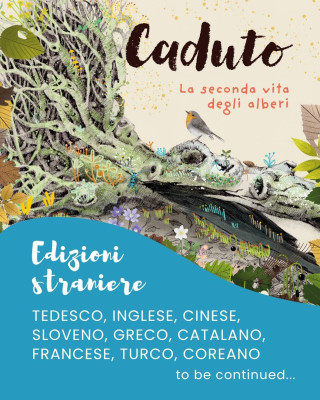 Copertina evento  Le edizioni straniere di "Caduto. La seconda vita degli alberi"