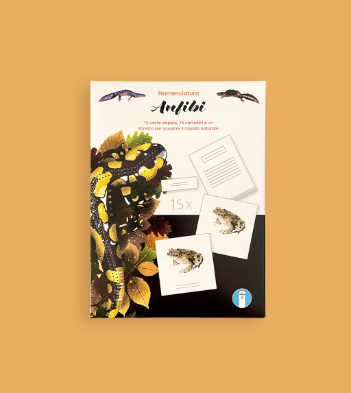 Nomenclatura: Anfibi