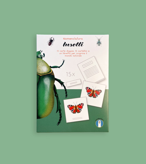 Nomenclatura: Insetti