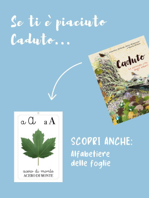 Copertina evento  Se ti è piaciuto l'albo "Caduto. La seconda vita degli alberi"...