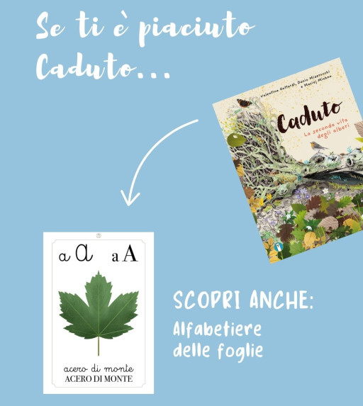 Se ti è piaciuto l'albo "Caduto. La seconda vita degli alberi"...