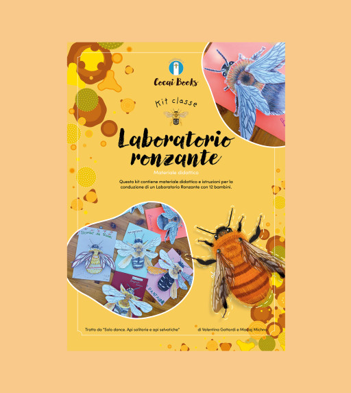 Workshop Ronzante: Kit Scuole