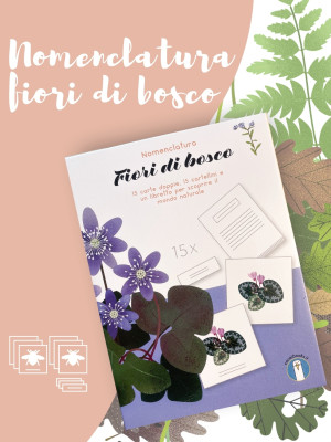 Copertina evento  Scopri i fiori del bosco