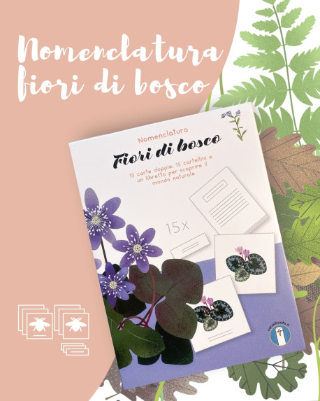 Scopri i fiori del bosco