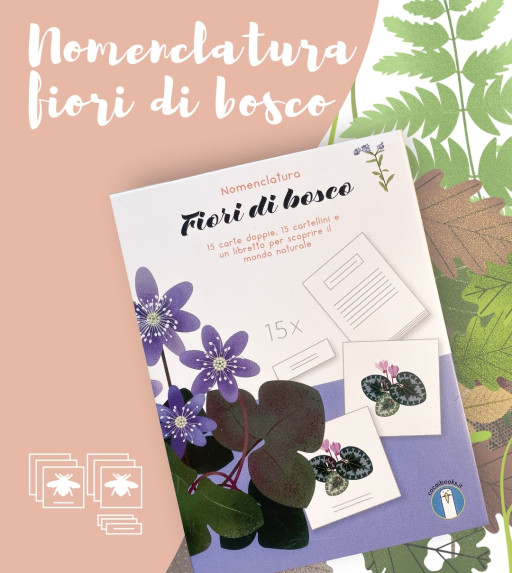 Scopri i fiori del bosco