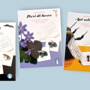 Copertina categoria Nomenclature