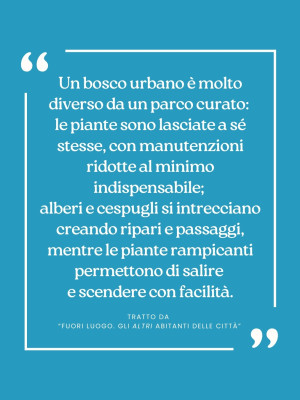 Copertina evento  Tratto dall'albo “Fuori luogo. Gli altri abitanti delle città”