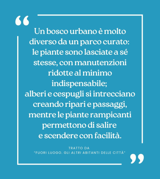 Tratto dall'albo “Fuori luogo. Gli altri abitanti delle città”