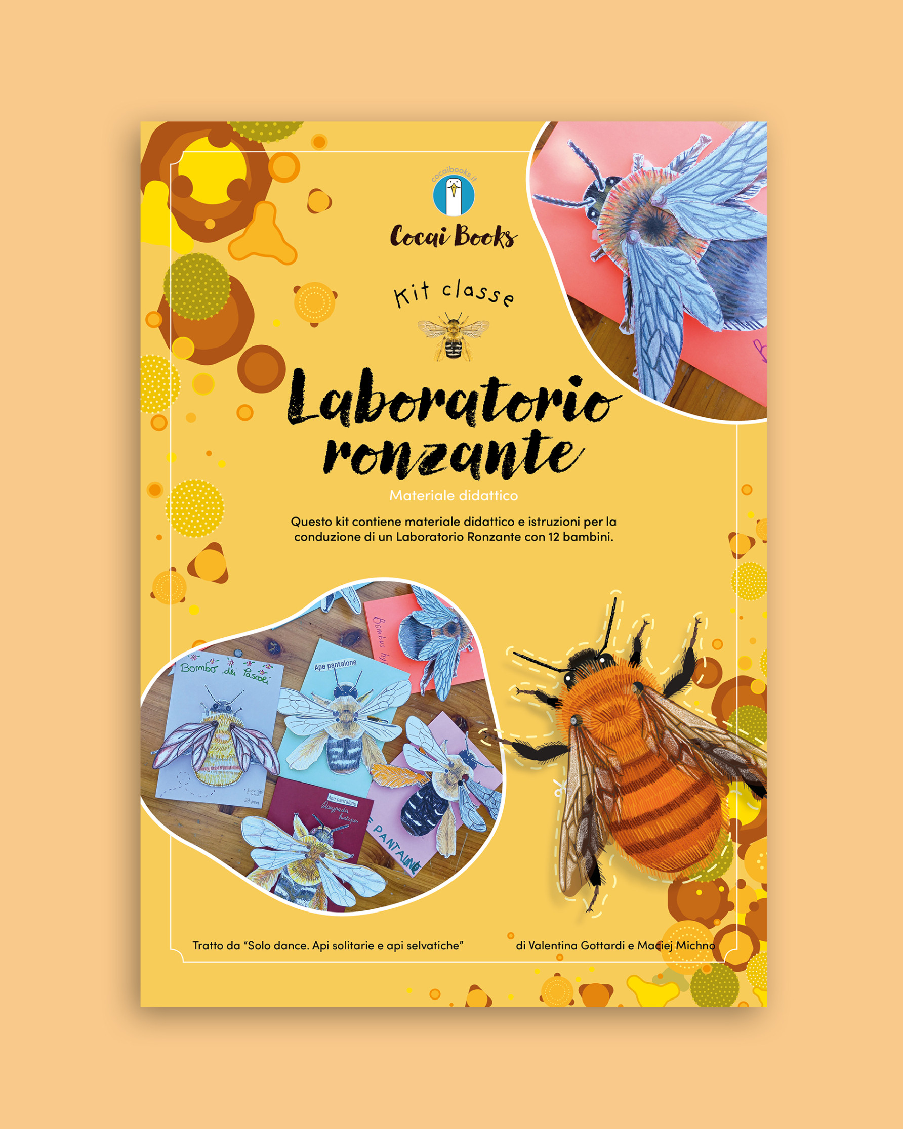 Workshop Ronzante: Kit Scuole