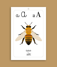 Fotografia di Alfabetiere della natura A4