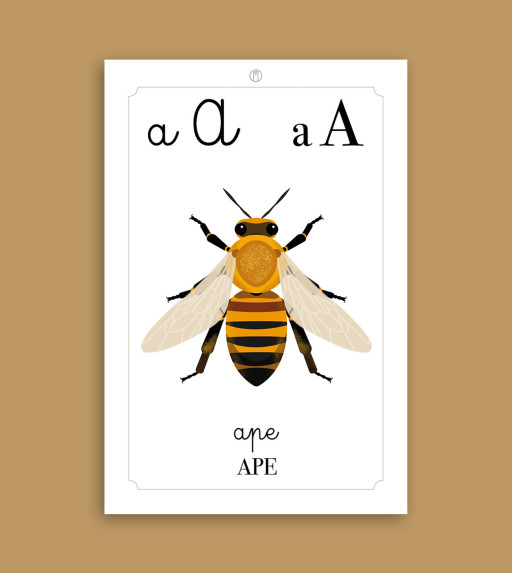 Alfabetiere della natura A4