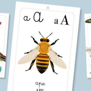 Copertina categoria Alfabetieri