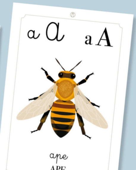Alfabetieri