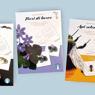 Copertina categoria Nomenclature