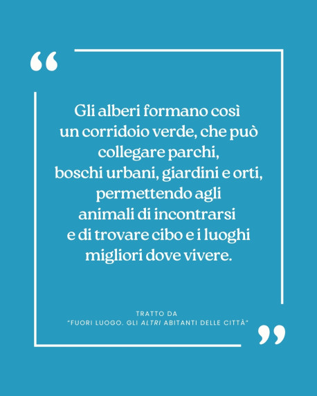 Tratto da  “Fuori luogo. Gli altri abitanti delle città”