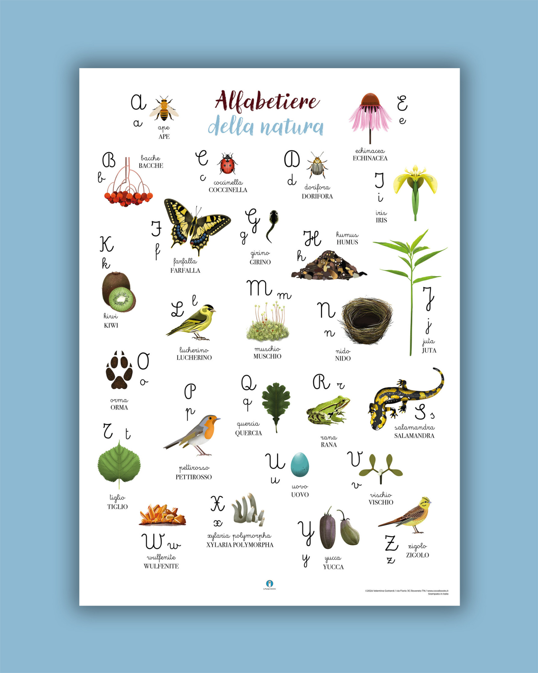 Poster di carta: Alfabetiere della Natura