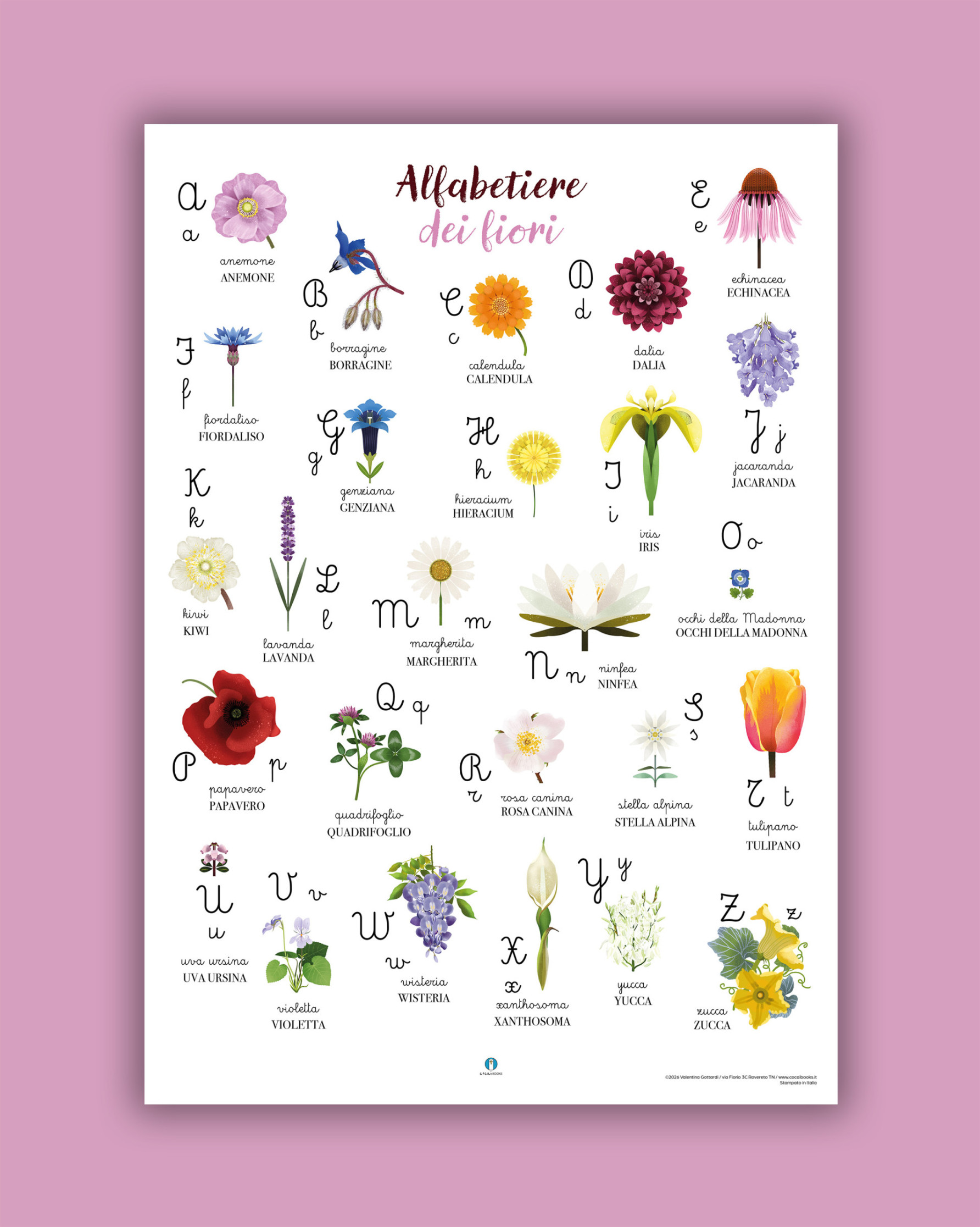 Poster di carta: Alfabetiere dei Fiori