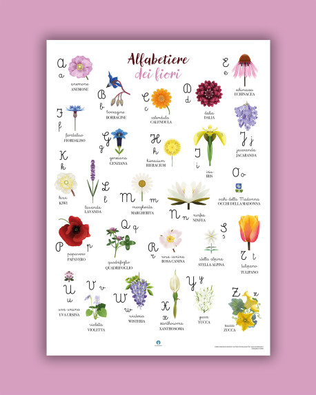 Poster di carta: Alfabetiere dei Fiori