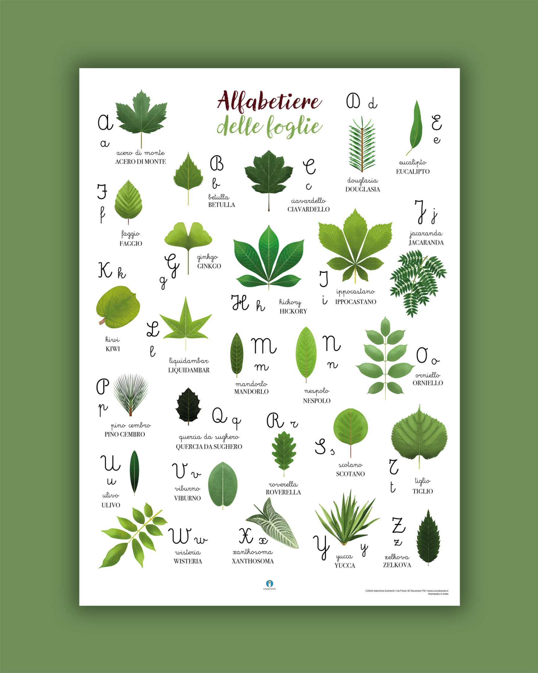 Poster di carta: Alfabetiere delle Foglie