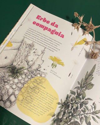 Copertina evento  Da “Noi viviamo qui. Che cos’è il paesaggio?”