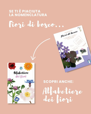 Copertina evento  Se ti è piaciuta la nostra nomenclatura "Fiori di bosco"